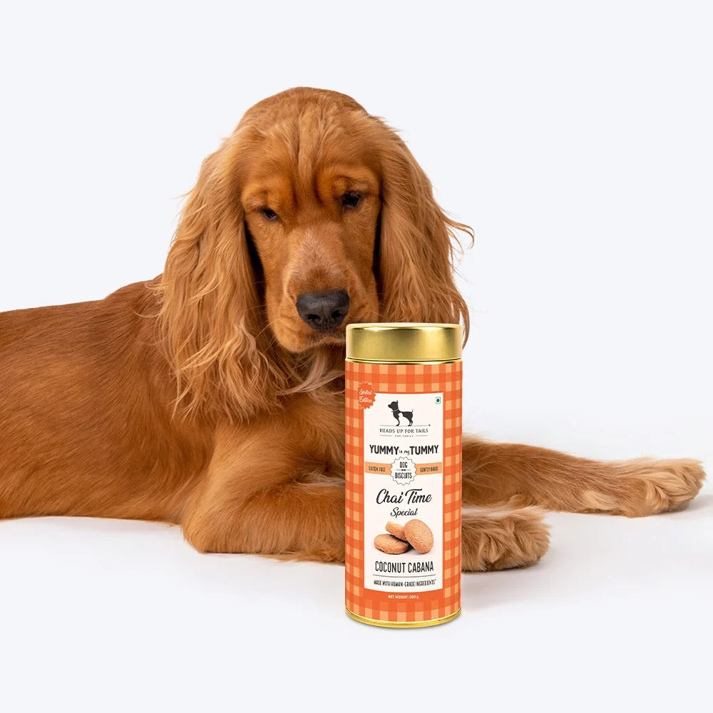 HUFT Yummy In My Tummy Coconut Cabana Dog Biscuits 200g