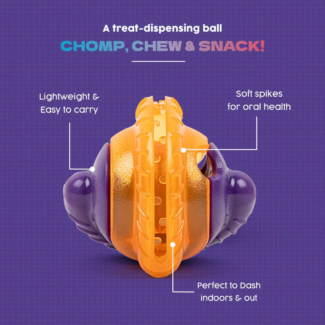 Dash Dog Chomping Champ Ball Toy For Dog