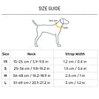 Dash Dog Flow Padded Collar For Dog - Red & Purple