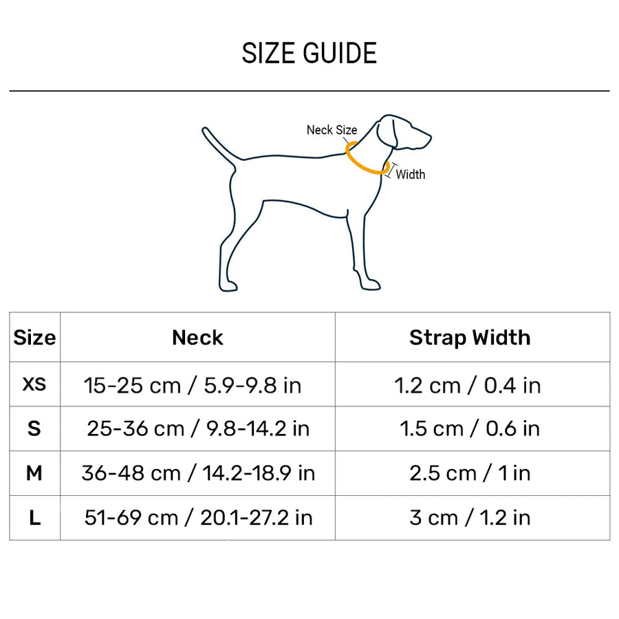 Dash Dog Flow Padded Collar For Dog - Red & Purple