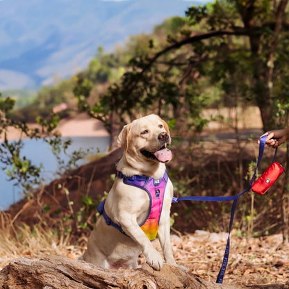 Dash Dog Oh-So-Handy Flexible Leash For Dog - Purple