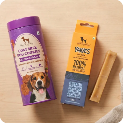 Dog Treats