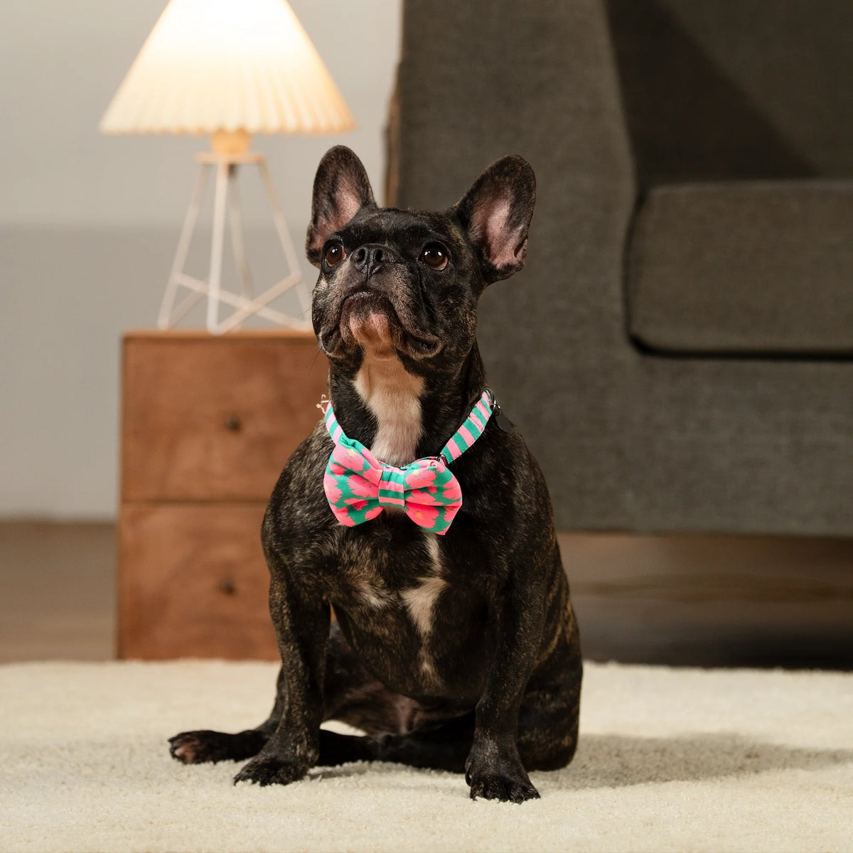 HUFT Pawsome Blossom Bow Tie With Collar For Dog - Green & Pink