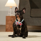 HUFT Pawsome Blossom Bow Tie With Collar For Dog - Green & Pink