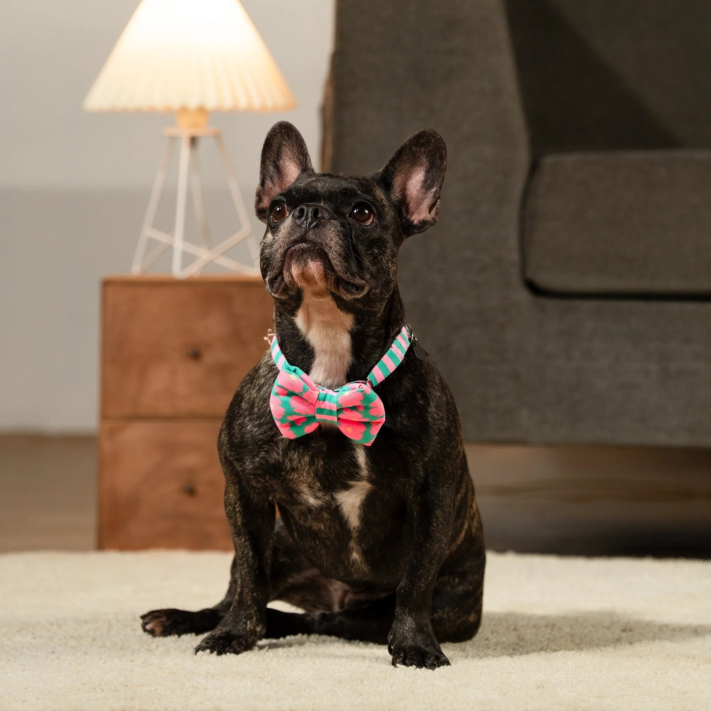 HUFT Pawsome Blossom Bow Tie With Collar For Dog - Green & Pink