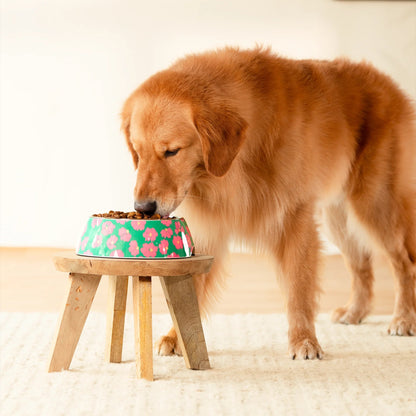 HUFT Pawsome Blossom Printed Melamine Bowl With Steel Insert For Dog - Green & Pink