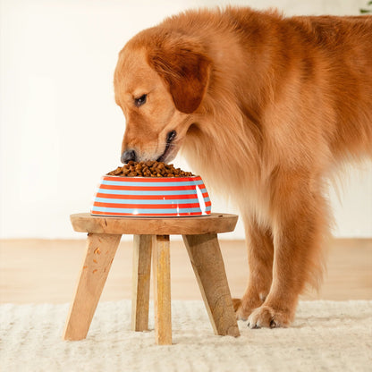 HUFT Happy Stripes Printed Melamine Bowl With Steel Insert For Dog - Blue & Orange