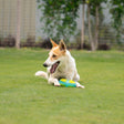 Dash Dog Extreme Play Squeaky Ring Toy For Dog - Green
