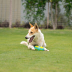 Dash Dog Extreme Play Squeaky Ring Toy For Dog - Green
