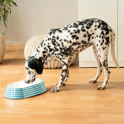 HUFT Happy Stripes Printed Melamine Double Diner For Dog - Blue & Turquoise