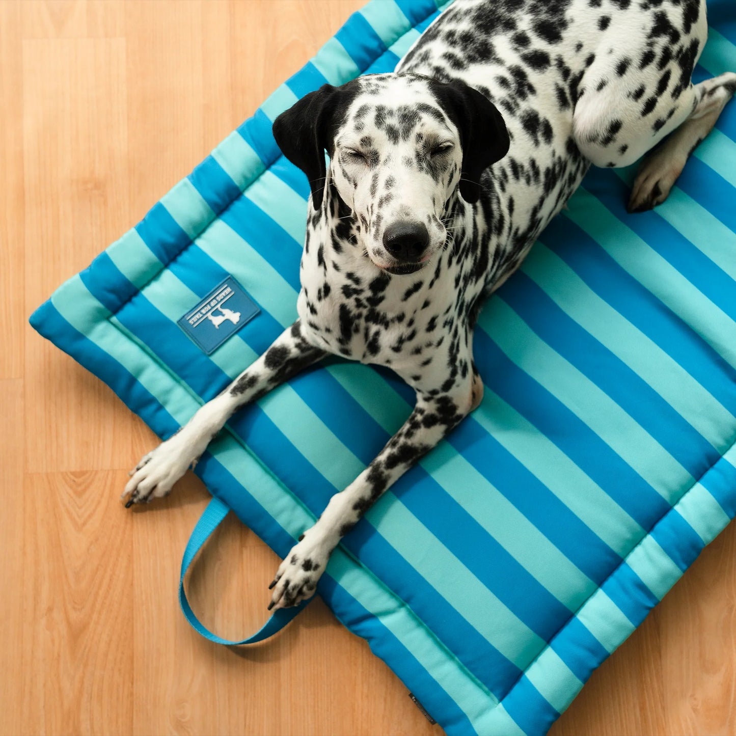 HUFT Happy Stripes Mat For Dog - Blue & Turquoise