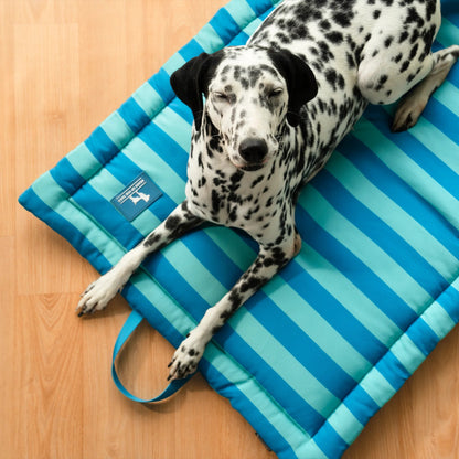 HUFT Happy Stripes Mat For Dog - Blue & Turquoise