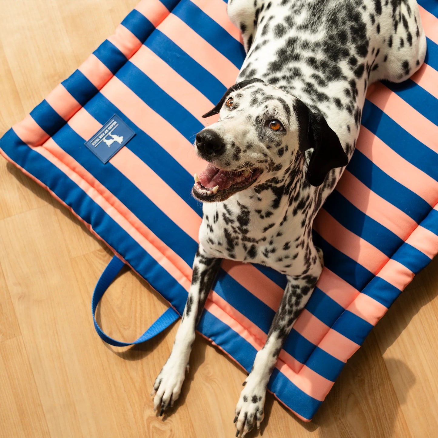 HUFT Happy Stripes Mat For Dog - Navy & Peach