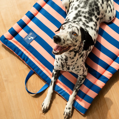 HUFT Happy Stripes Mat For Dog - Navy & Peach
