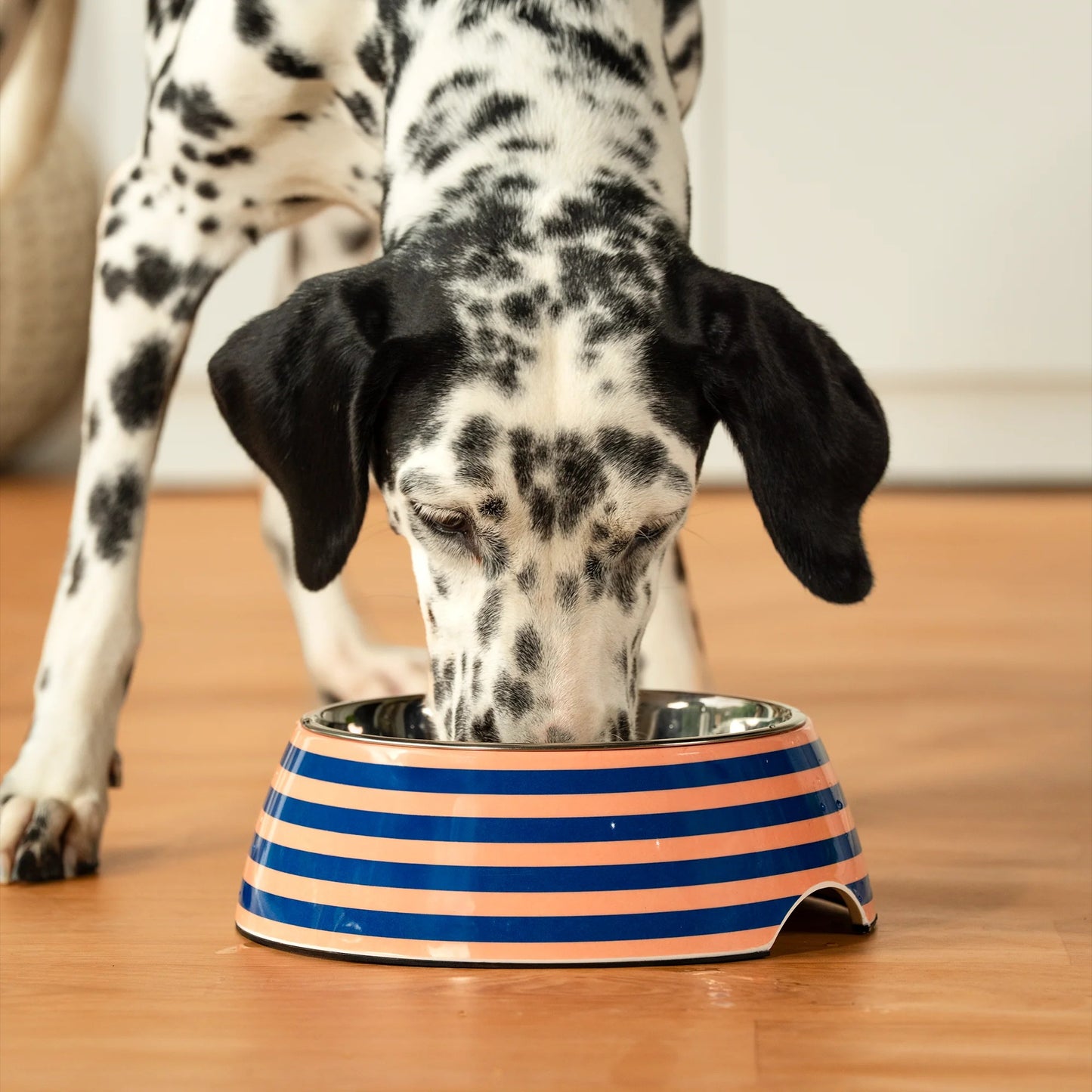 HUFT Happy Stripes Printed Melamine Bowl With Steel Insert For Dog - Blue & Peach