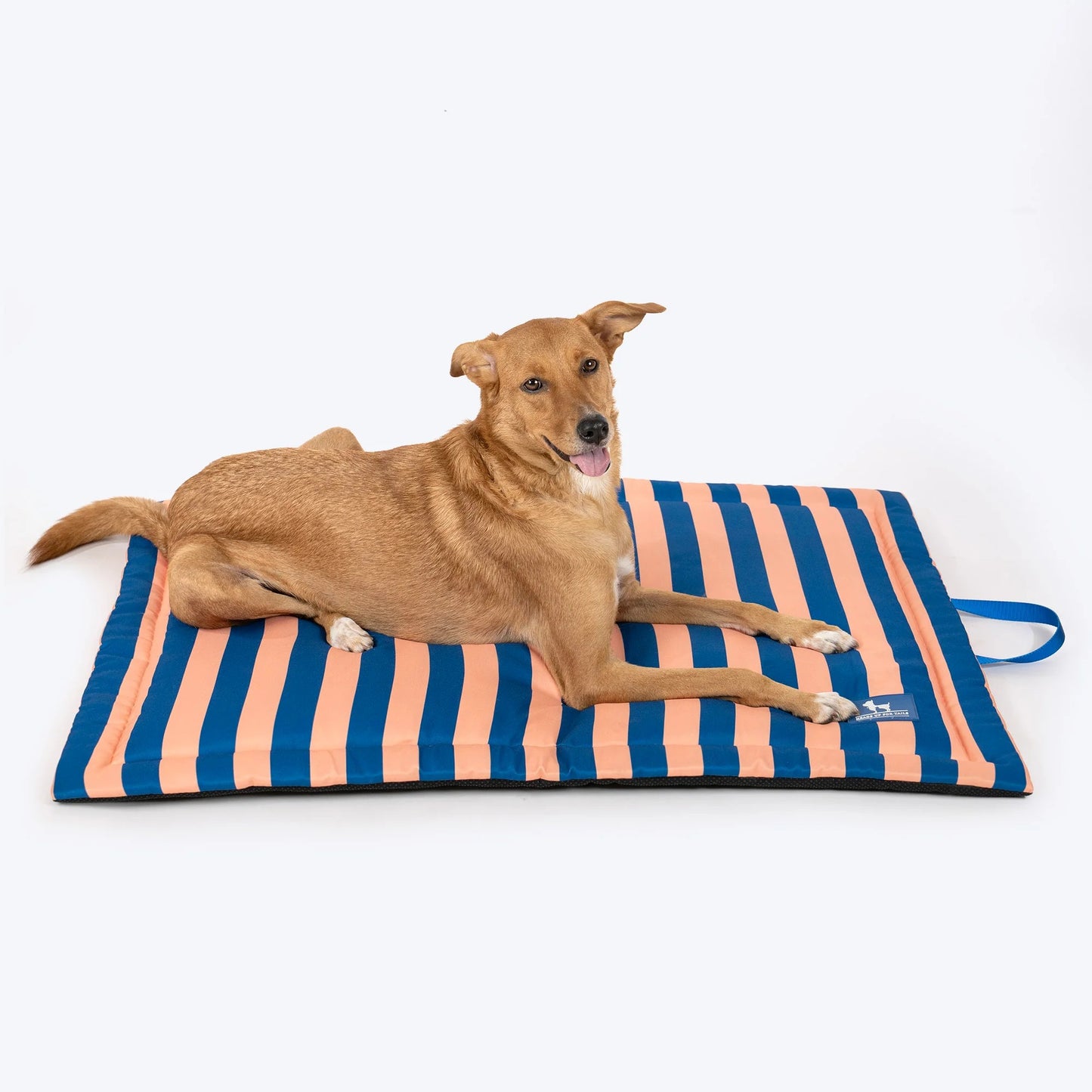 HUFT Happy Stripes Mat For Dog - Navy & Peach