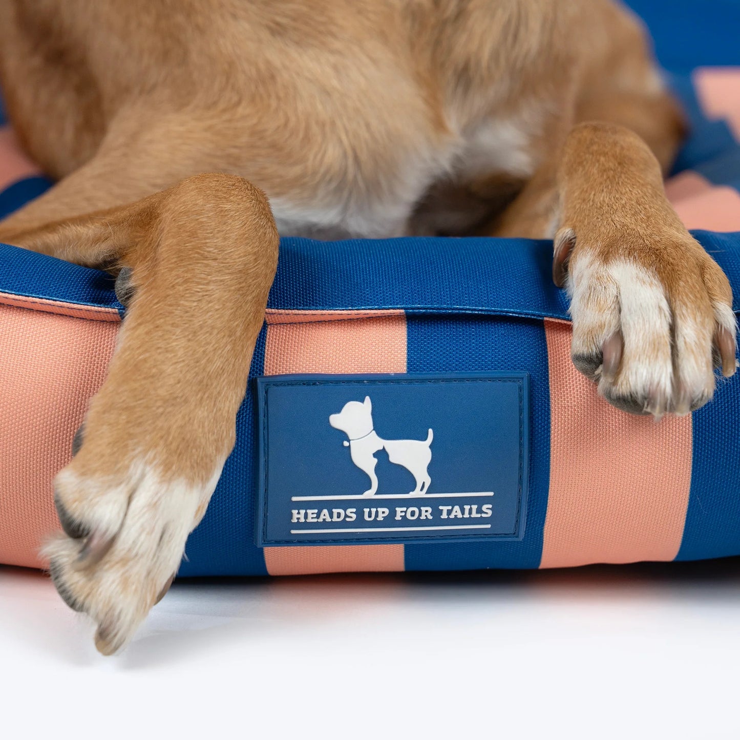 HUFT Happy Stripes Lounger Bed For Dog - Navy & Peach