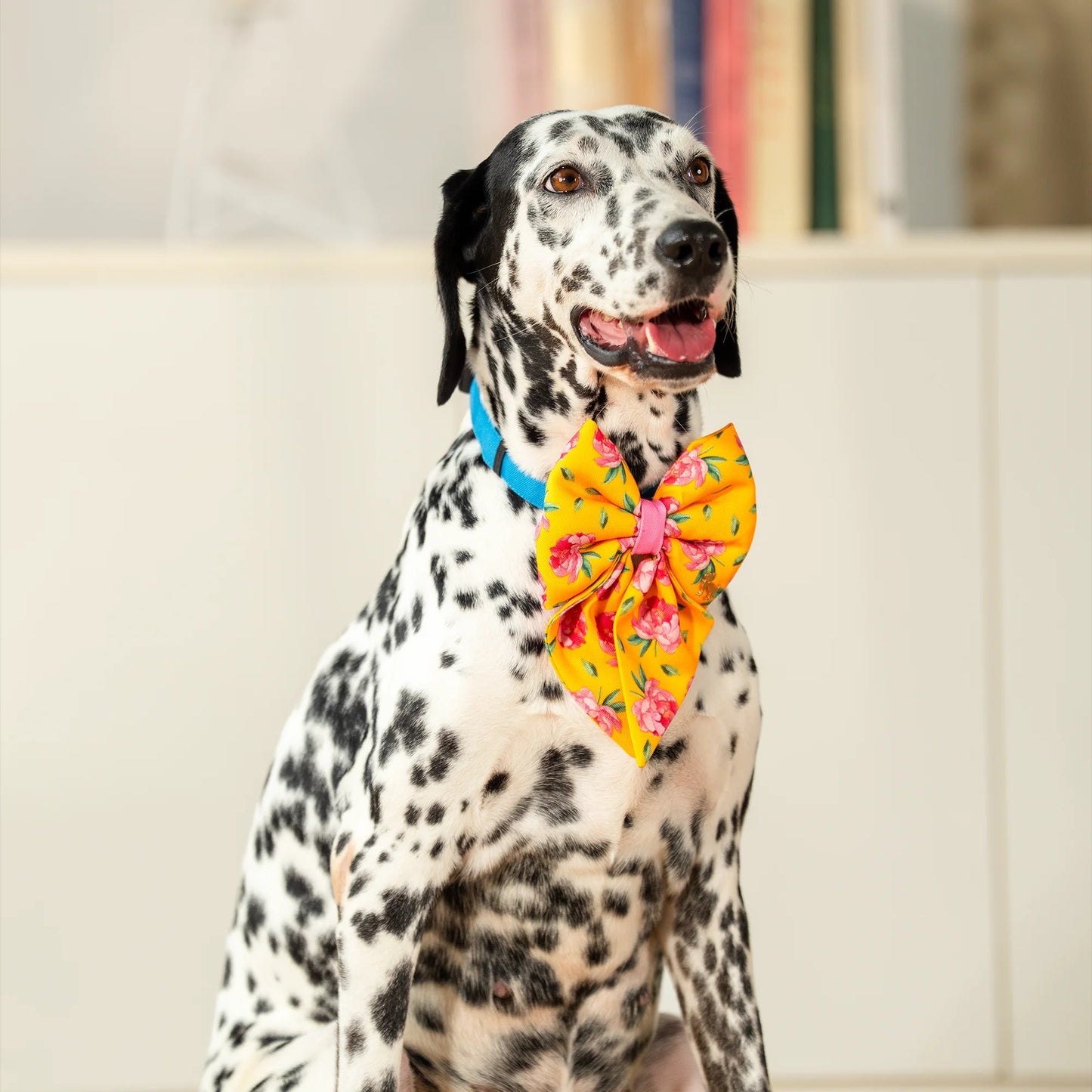 HUFT Blush Bloom Lady Bow Tie For Dog - Yellow