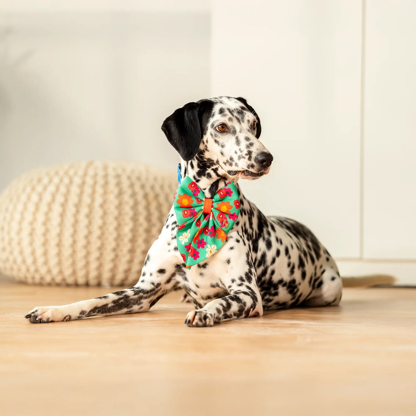 HUFT Beach Bloom Lady Bow Tie For Dog - Green