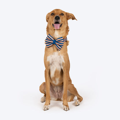 HUFT Happy Stripes Bow Tie With Collar For Dog - Blue & Peach