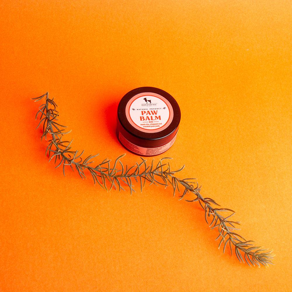 HUFT Organic Paw Balm For Dogs - 25 gm