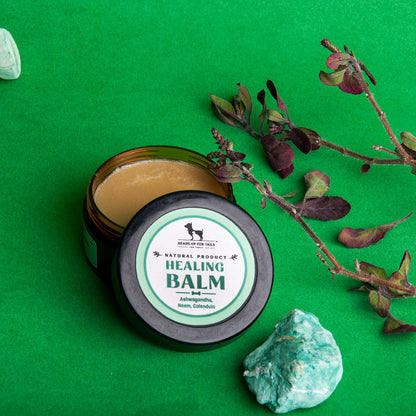 HUFT Organic Healing Dog Balm - 25 g