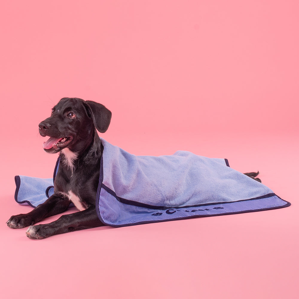 HUFT Cutest Microfiber Towel For Dogs & Cats - Light Blue