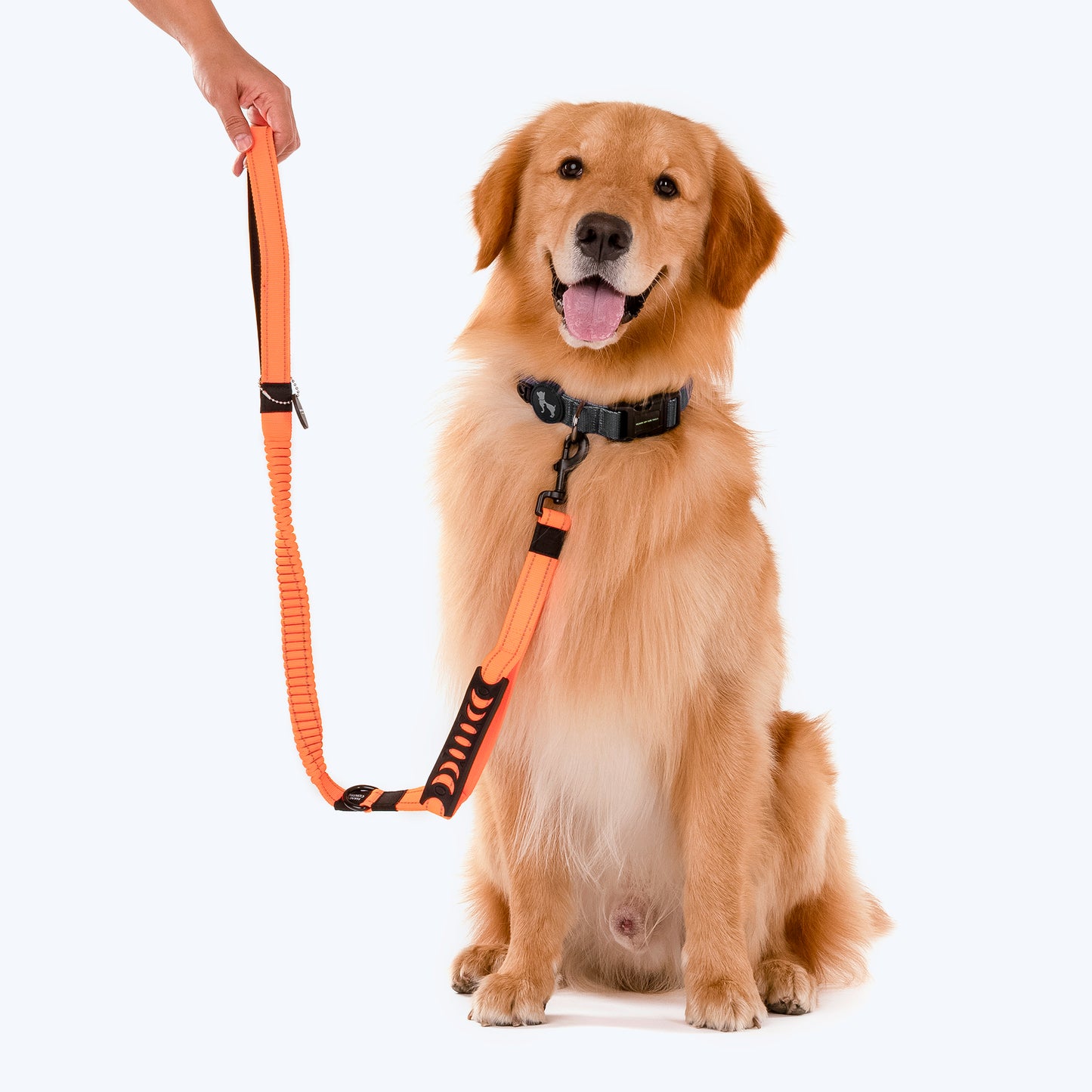 HUFT Shock Absorption Dog Leash - Orange