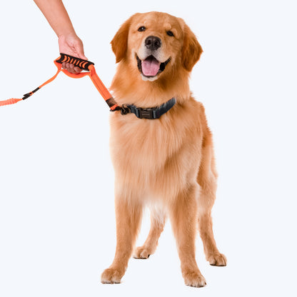 HUFT Shock Absorption Dog Leash - Orange