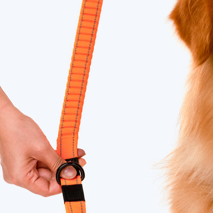 HUFT Shock Absorption Dog Leash - Orange