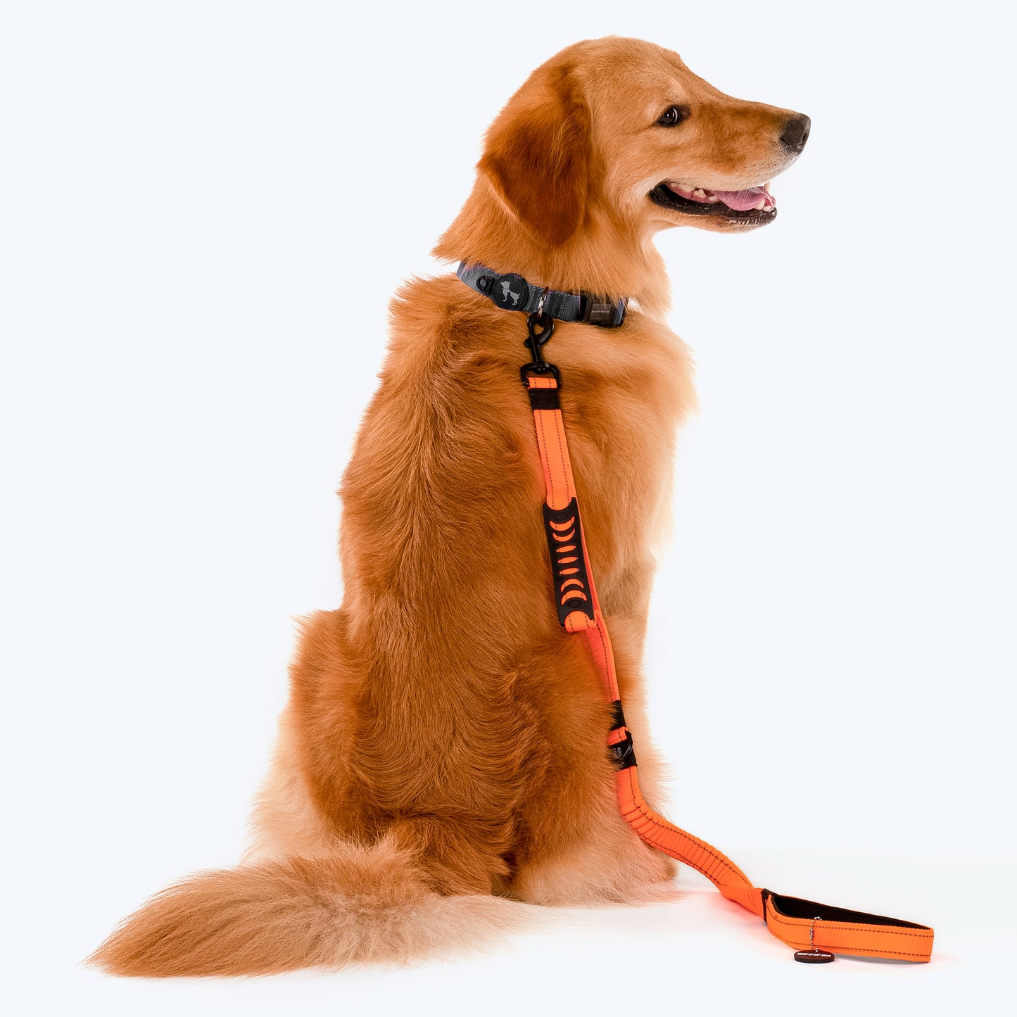 HUFT Shock Absorption Dog Leash - Orange