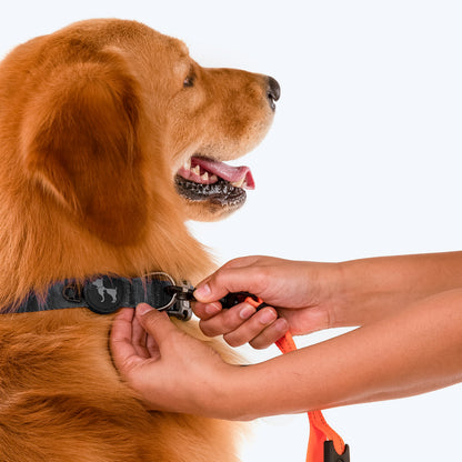 HUFT Shock Absorption Dog Leash - Orange