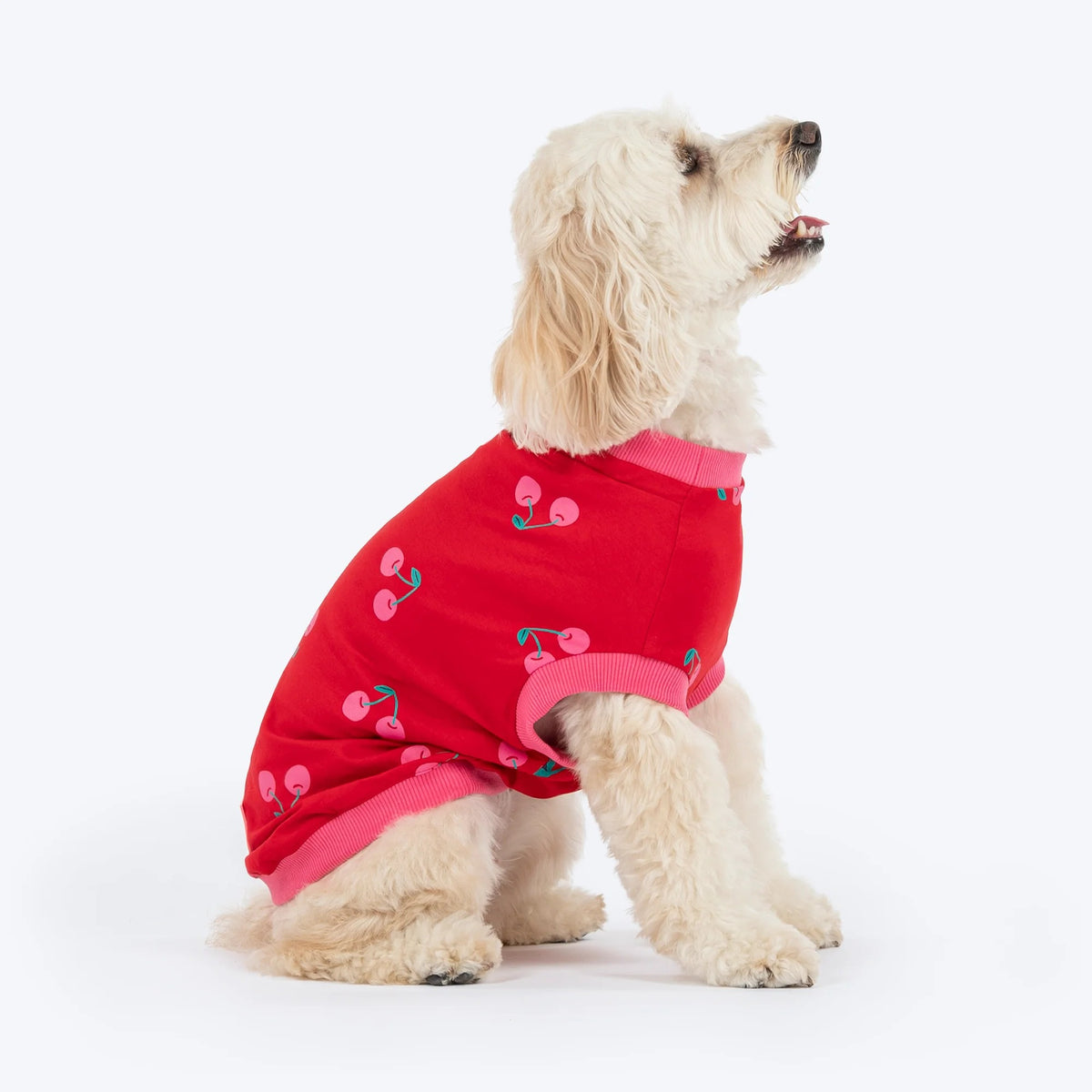 HUFT Cherry Pop Printed T-Shirt For Small Dog - Red