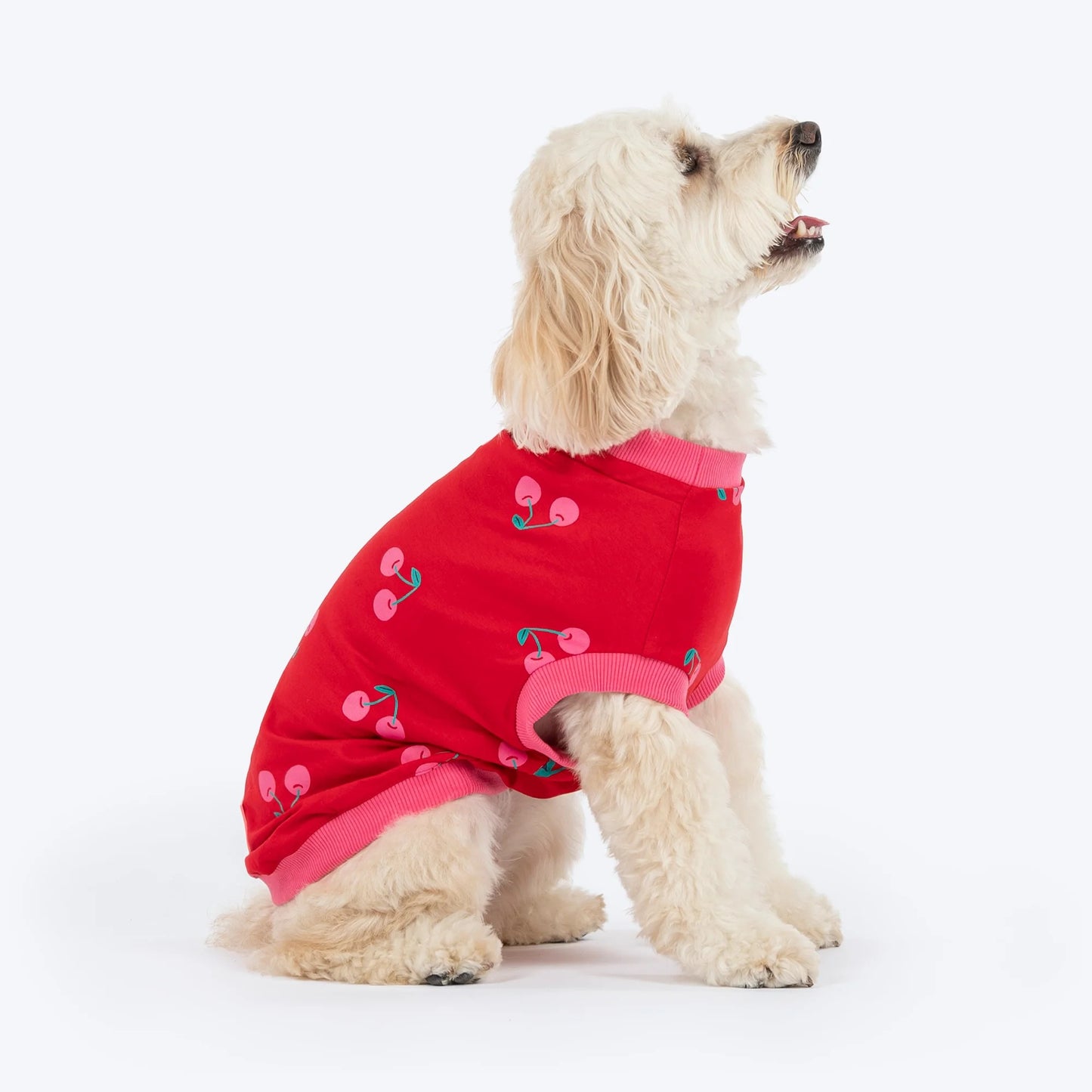 HUFT Cherry Pop Printed T-Shirt For Small Dog - Red