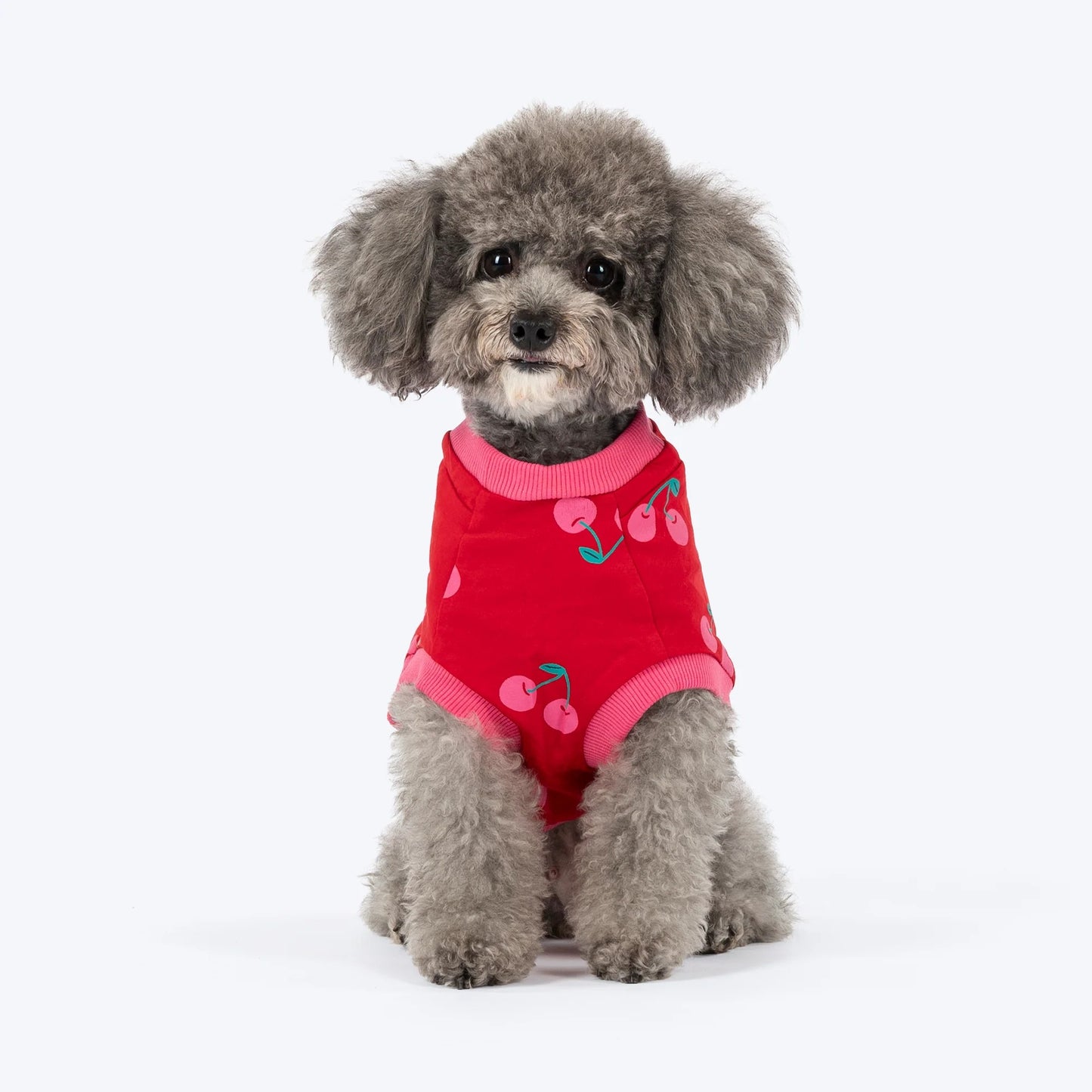 HUFT Cherry Pop Printed T-Shirt For Small Dog - Red