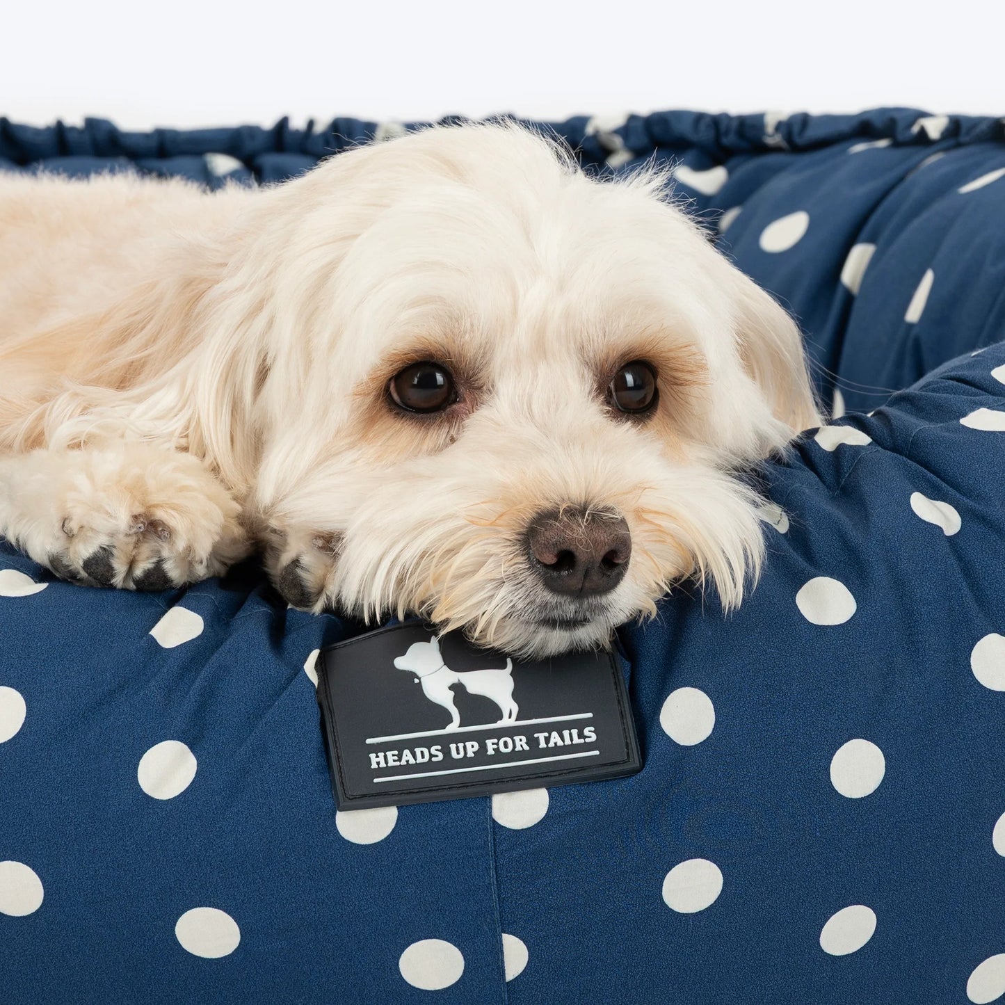 HUFT Polka Paws Adjustable Donut Bed For Dog & Cat - Navy