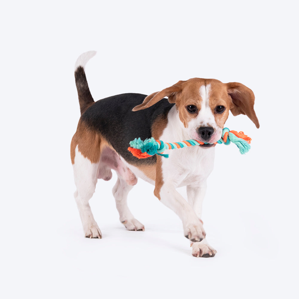 HUFT 2 Knot Rope Toy For Dog - Multicolour