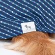 HUFT Pawdhani Lehriya Kurta For Dog - Blue