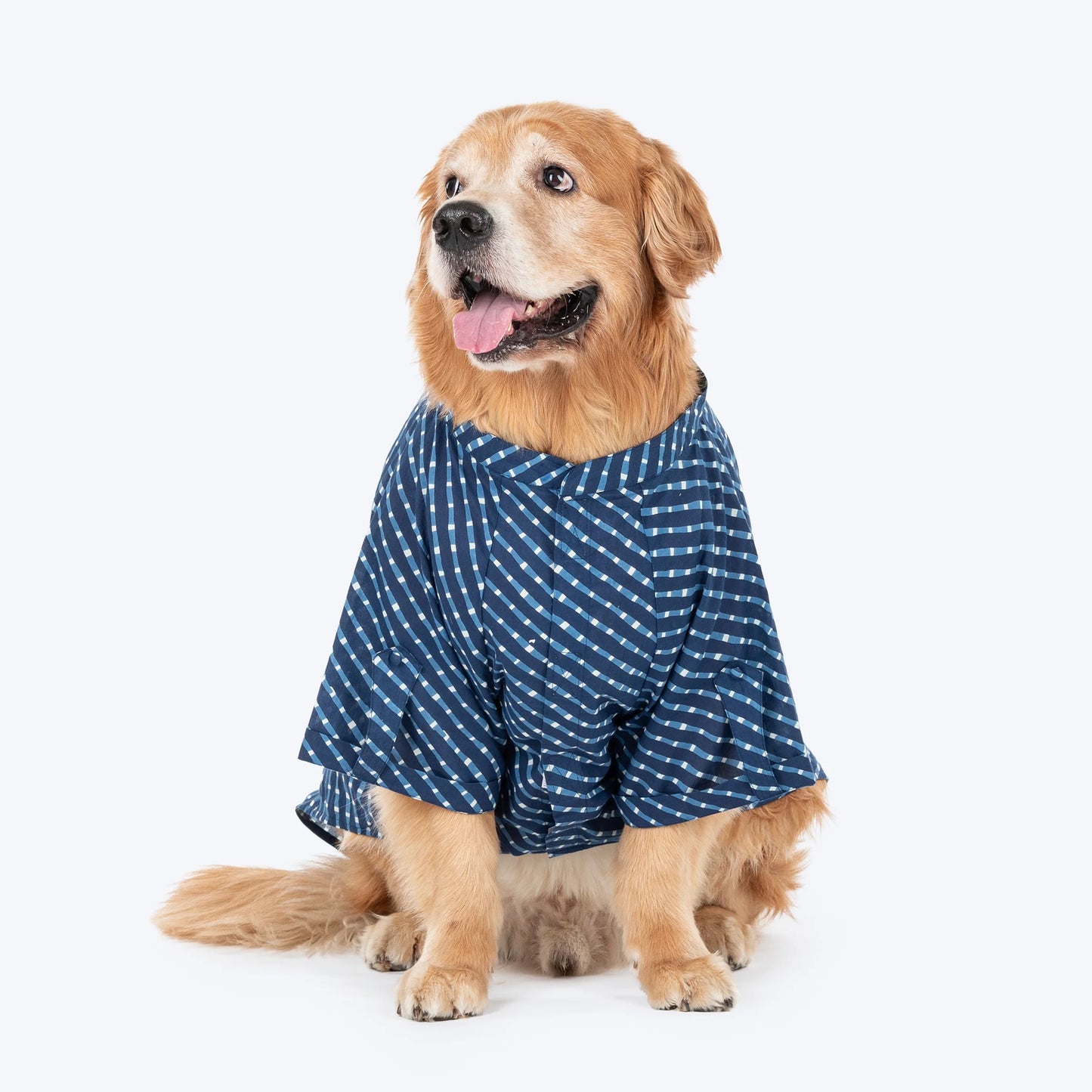 HUFT Pawdhani Lehriya Kurta For Dog - Blue