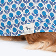HUFT Pawbloom Kurta For Dog - Blue & White