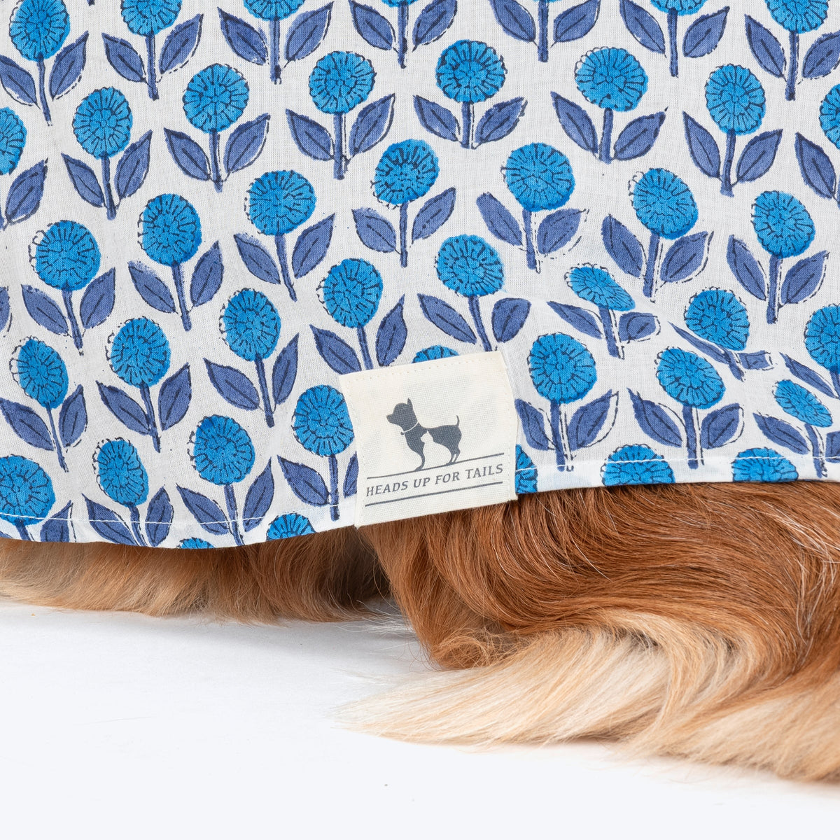HUFT Pawbloom Kurta For Dog - Blue & White