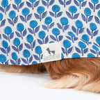 HUFT Pawbloom Kurta For Dog - Blue & White