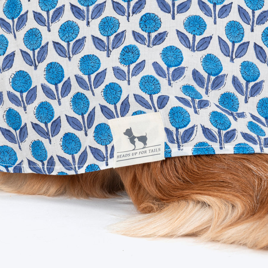 HUFT Pawbloom Kurta For Dog - Blue & White