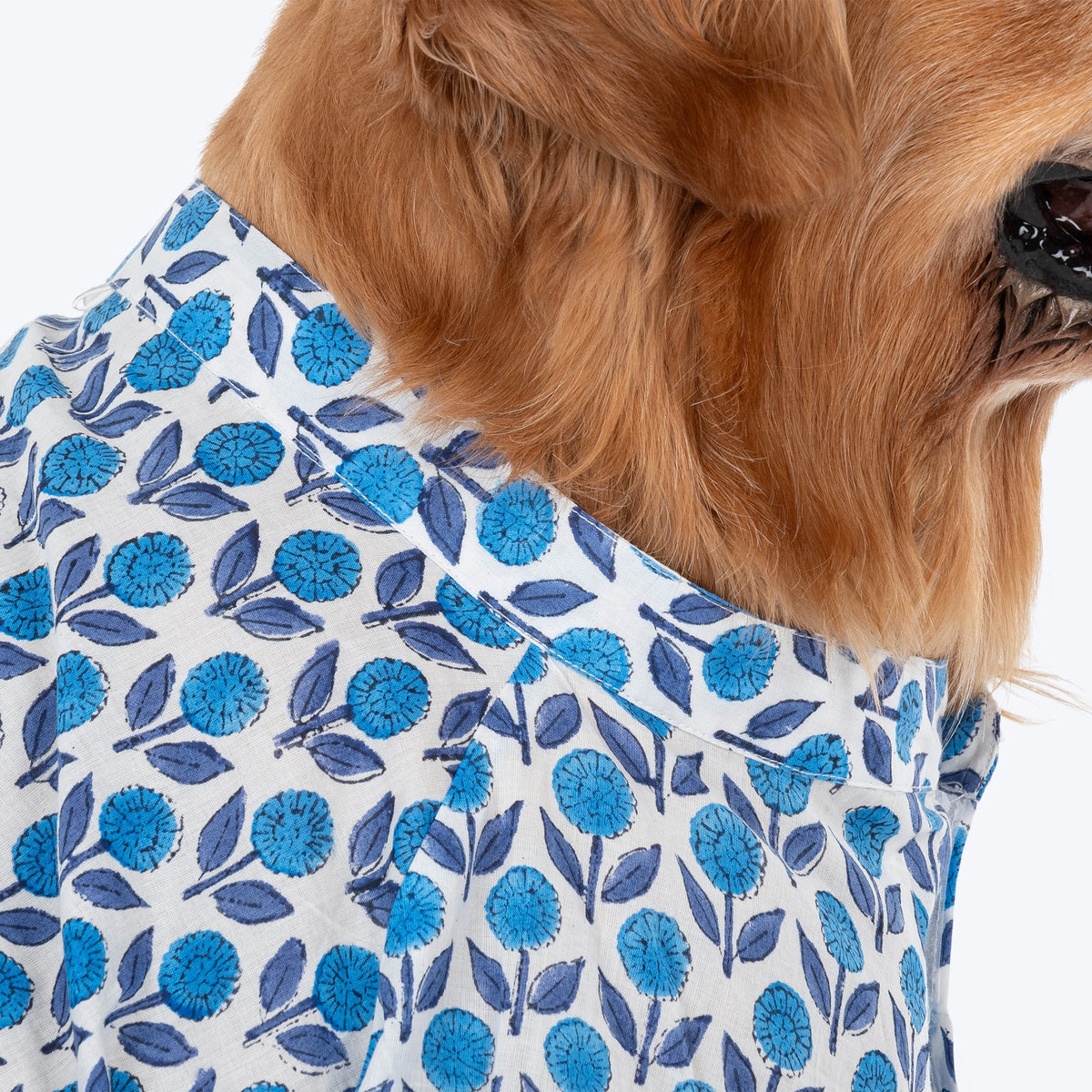HUFT Pawbloom Kurta For Dog - Blue & White