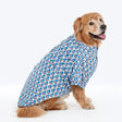 HUFT Pawbloom Kurta For Dog - Blue & White