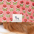 HUFT Floral Paws Kurta For Dog - Pink