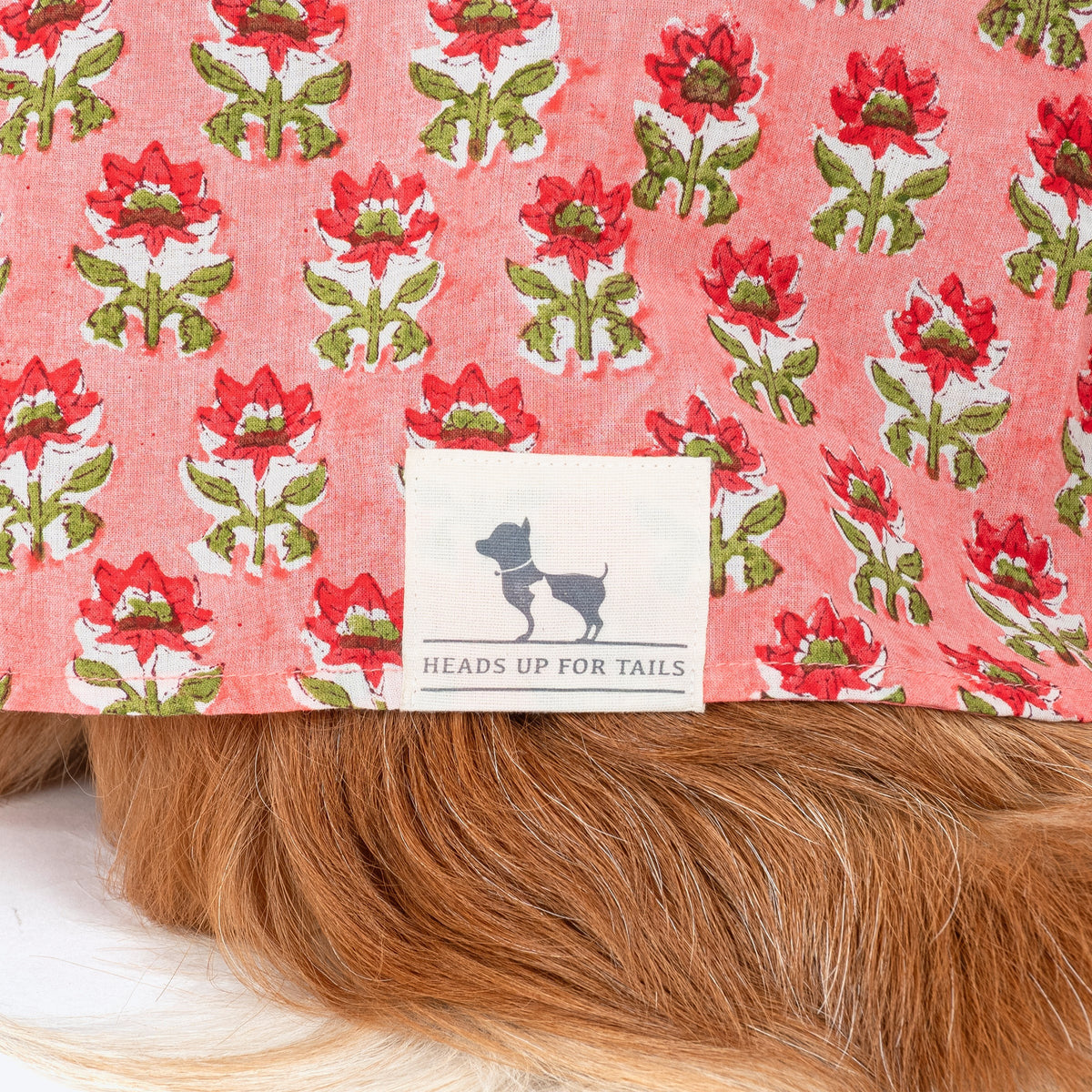 HUFT Floral Paws Kurta For Dog - Pink