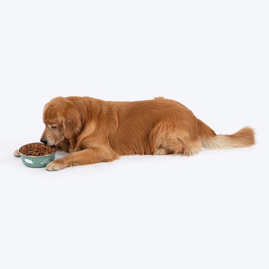 HUFT Ferns & Fur Printed Steel Bowl For Dog - Sage Green