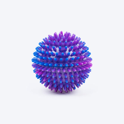 Dash Dog Spiky Ball Toy For Dog - Blue