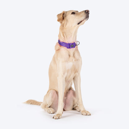 HUFT Comfort Plus Collar For Dog - Purple